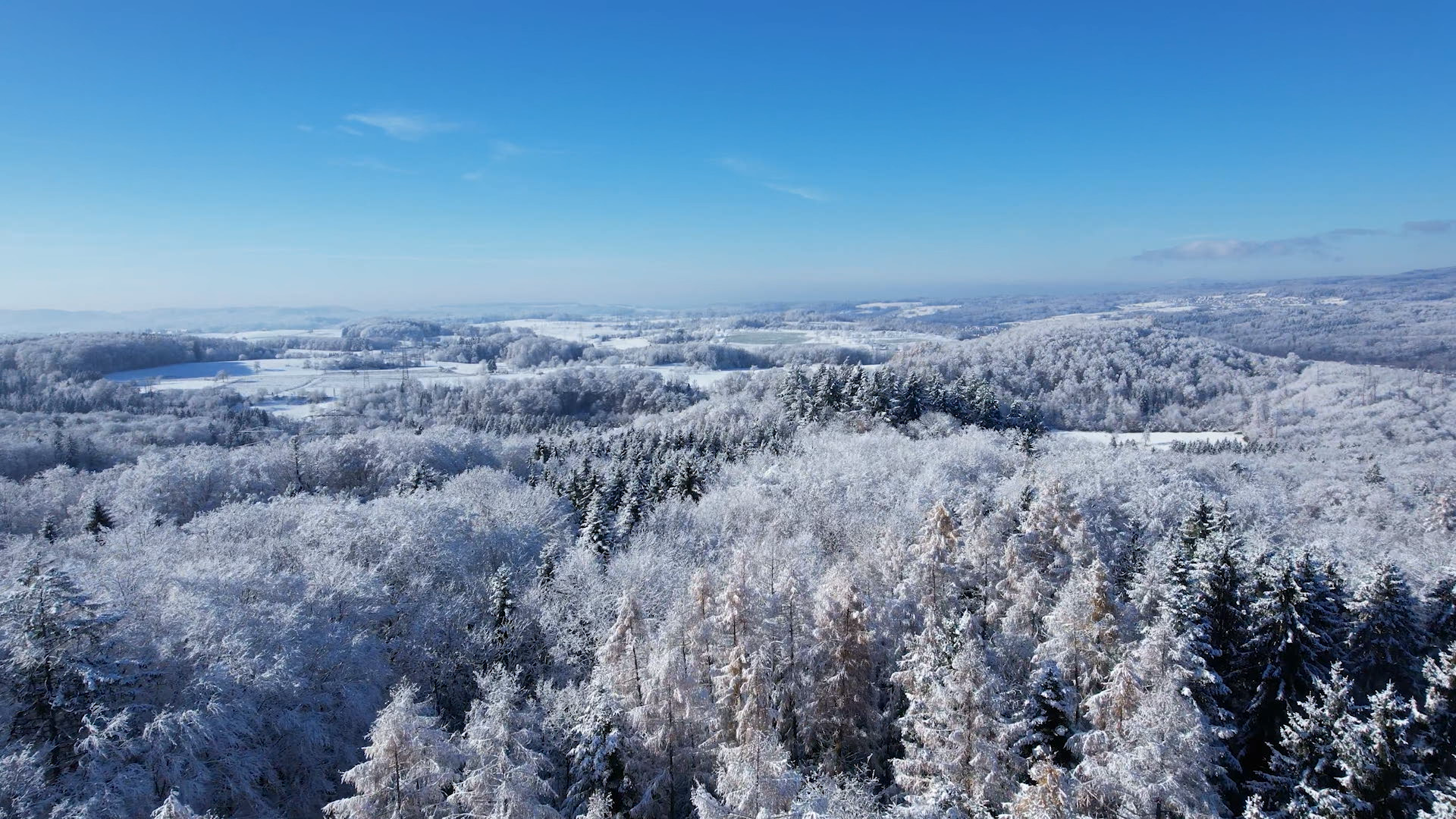 ���޵��²��������� �����´ﳤ��ʵ���Һ�ʵ��Ʒ��������