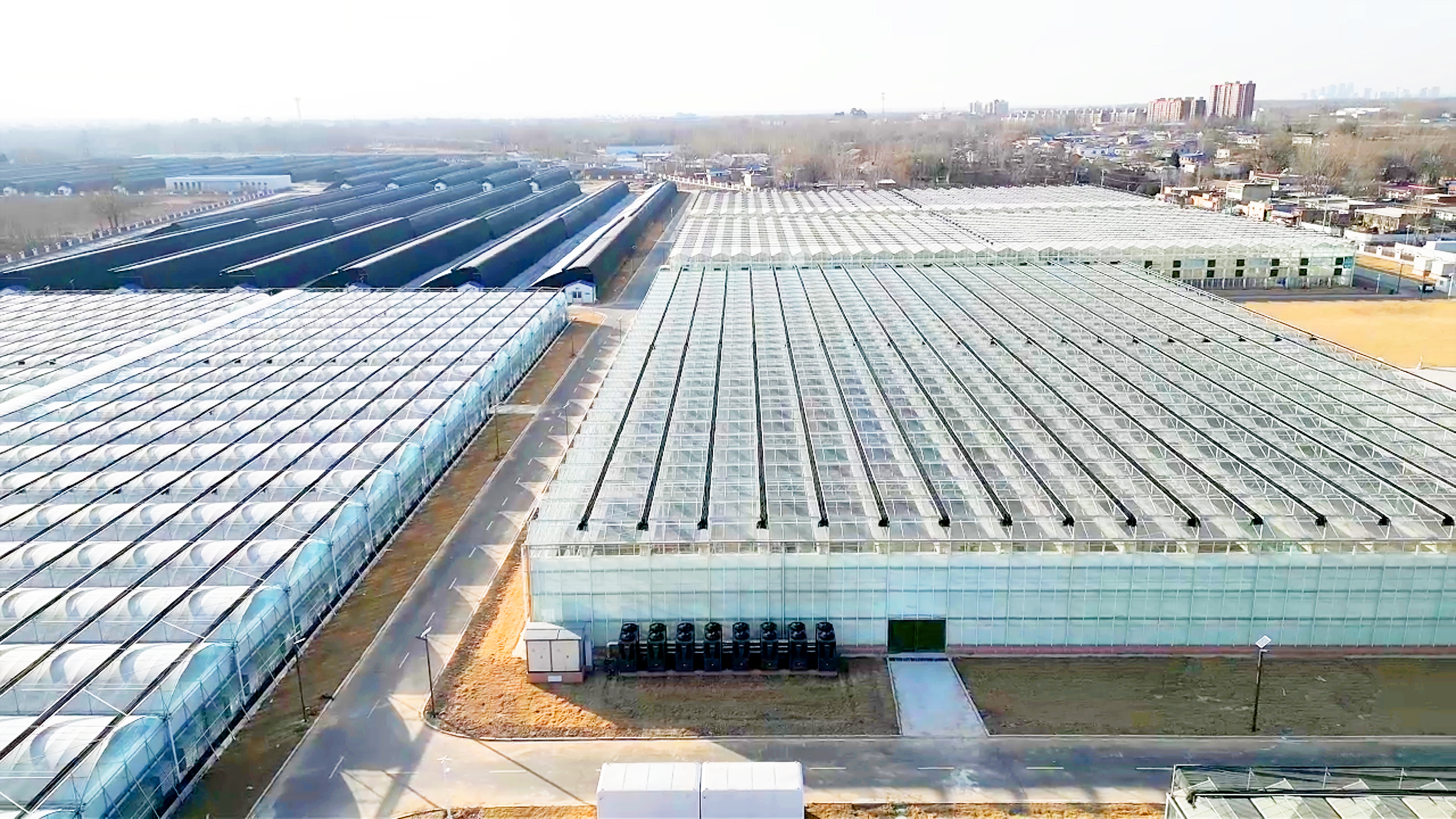 雄安种植新方式